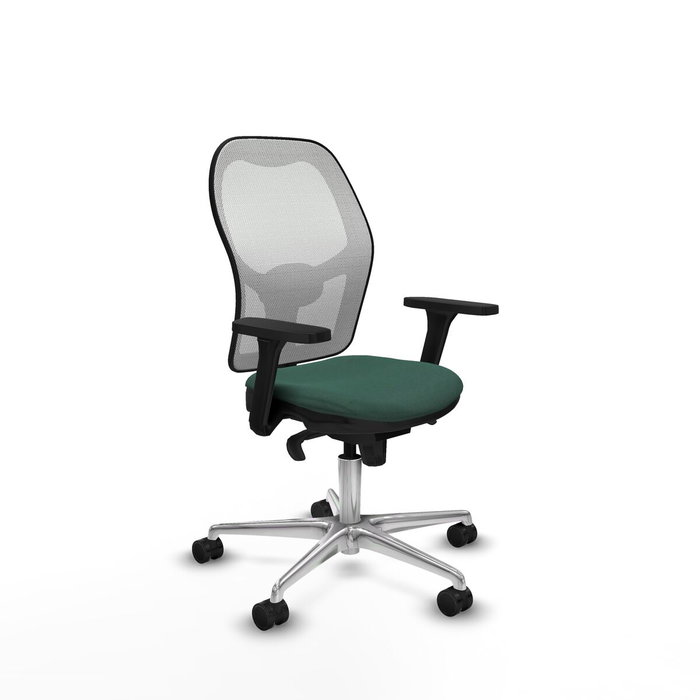 PIQUERAS Y CRESPO Silla de oficina Jorquera Verde botella y Blanco PIQUERAS Y CRESPO Silla de oficina Jorquera Verde botella y Blanco