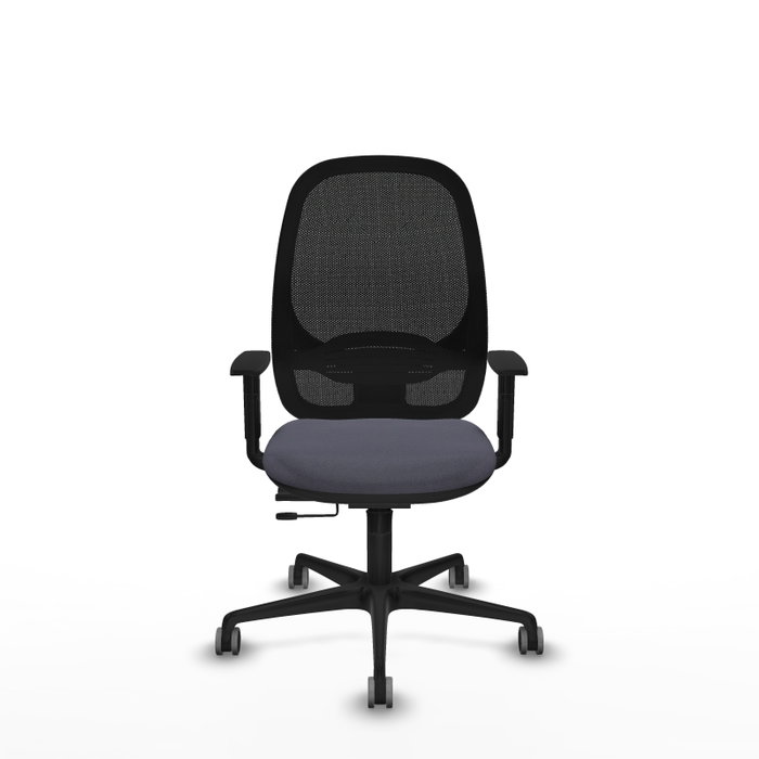 PIQUERAS Y CRESPO Silla de oficina Cilanco con mecanismo Sincro/Traslack Gris oscuro y Negro