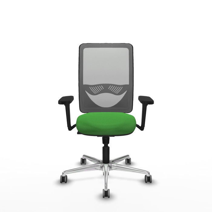 PIQUERAS Y CRESPO Silla de oficina Zulema con mecanismo Sincro, Verde y Gris PIQUERAS Y CRESPO Silla de oficina Zulema con mecanismo Sincro, Verde y Gris