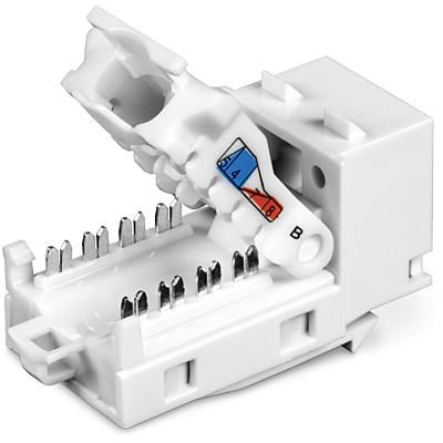 TRENDnet TC-K50C6 Keystone Cat6 RJ-45, Pack de 50, Blanco