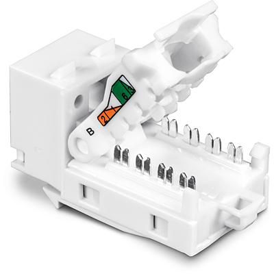 TRENDnet TC-K50C6 Keystone Cat6 RJ-45, Pack de 50, Blanco