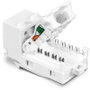 TRENDnet TC-K50C6 Keystone Cat6 RJ-45, Pack de 50, Blanco