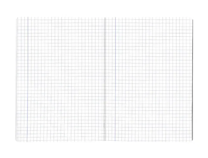 Liderpapel Libreta Scriptus A4 48 Hojas 90gr Cuadro 8mm con Margen