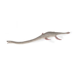 COLLECTA Elasmosaurus