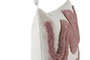 DKD Home Decor Cojín de Poliéster con Borlas, Pack de 2