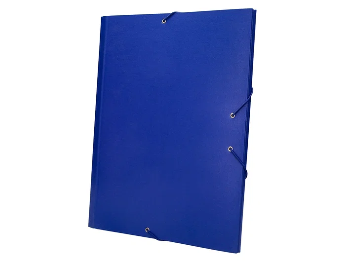 Liderpapel Carpeta clasificadora de 12 departamentos, folio prolongado, azul