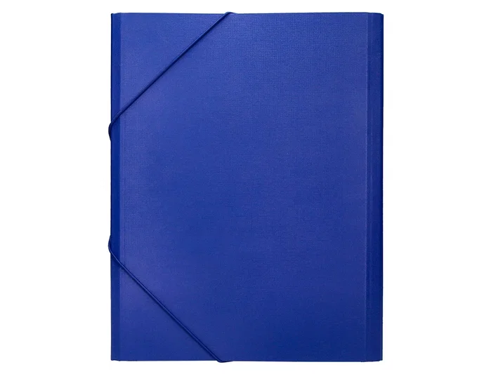 Liderpapel Carpeta clasificadora de 12 departamentos, folio prolongado, azul