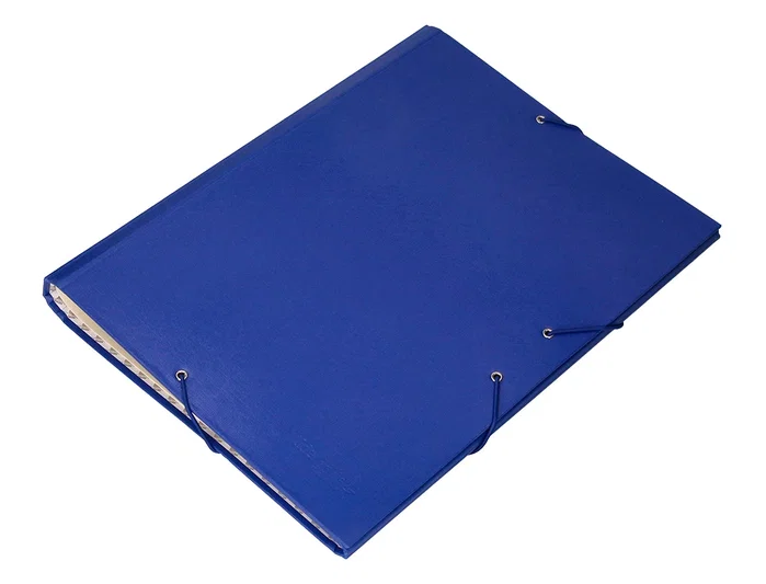 Liderpapel Carpeta clasificadora de 12 departamentos, folio prolongado, azul