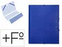 Liderpapel Carpeta clasificadora de 12 departamentos, folio prolongado, azul
