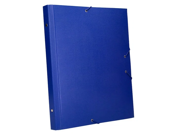 Liderpapel Carpeta clasificadora de 12 departamentos, folio prolongado, azul