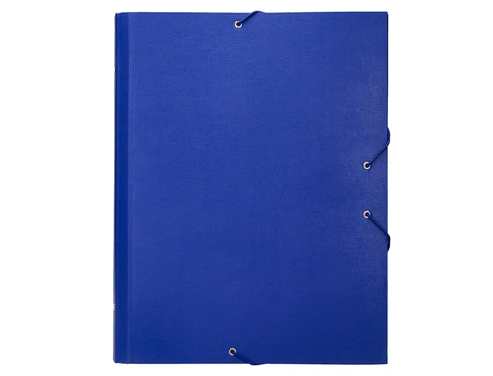 Liderpapel Carpeta clasificadora de 12 departamentos, folio prolongado, azul