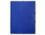 Liderpapel Carpeta clasificadora de 12 departamentos, folio prolongado, azul