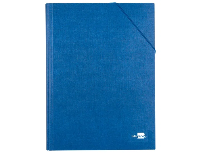 Liderpapel Carpeta clasificadora de 12 departamentos, folio prolongado, azul
