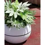 Riviera RIV3580798152022 Jardinera Redonda Boule Plástico Blanco Diámetro 50 cm