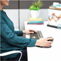 Fellowes Penguin Ratón ergonómico vertical ambidiestro L inalámbrico