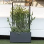 Deroma Soporte para Plantas Cosmo 78 x 155 cm Alto, Estructura de Metal Color Gris - 9FP3ZSZ006