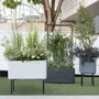 Deroma Soporte para Plantas Cosmo 78 x 155 cm Alto, Estructura de Metal Color Gris - 9FP3ZSZ006