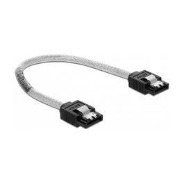 DeLOCK Cable SATA 6 Gb/s 20 cm Transparente