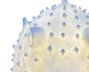 DKD Home Decor - Lámpara de Sobremesa Decoración Mediterránea Arenisca Crudo Pez Globo 30x20x18 cm Bombilla E14