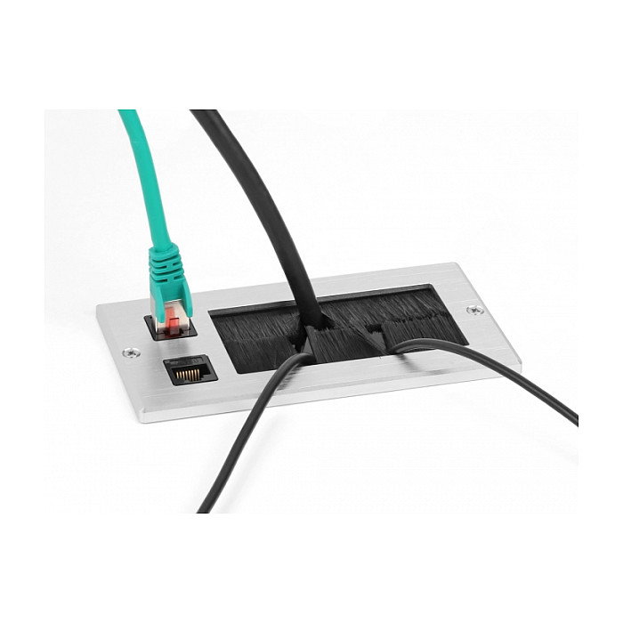 DeLOCK Entrada de cables con cepillo y 2 x RJ45 Keystone modular Cat.6 de aluminio