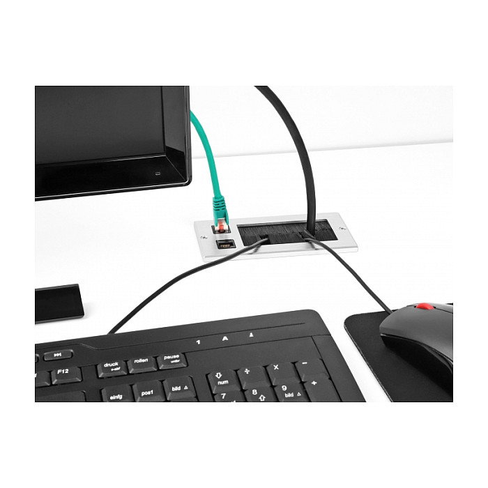 DeLOCK Entrada de cables con cepillo y 2 x RJ45 Keystone modular Cat.6 de aluminio
