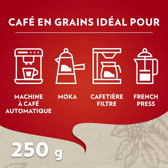 LAVAZZA Qualità Rossa Café en Grano 1 kg