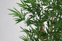 DKD Home Decor Planta Bambú EVA 70x58x192 cm