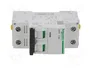 SCHNEIDER ELECTRIC Interruptor magnetotérmico iC60N 20A 1+N 400VAC 6kA