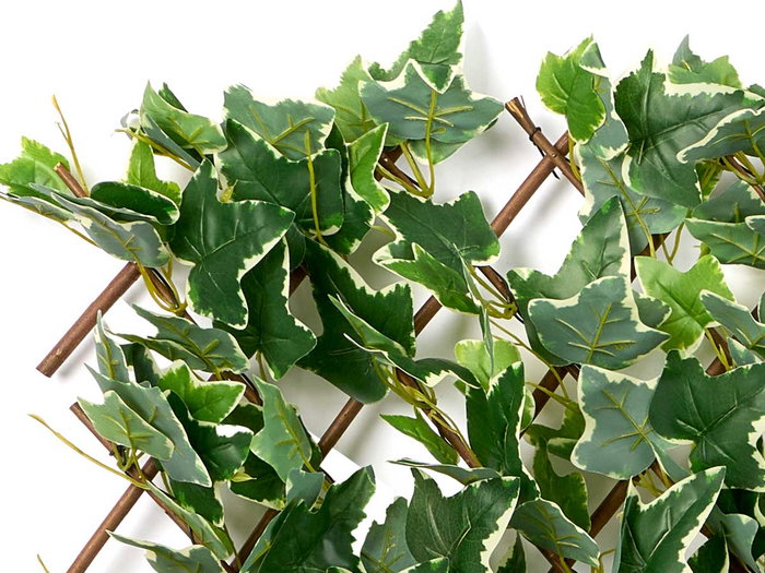 Ibergarden Panel Extensible para Jardín 90x180 cm, Plástico PEVA, Color Blanco y Verde, Incluye Hoja Blanca (Set de 8)