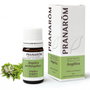 PRANAROM Aceite esencial de Angélica 5 ml