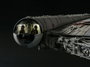 Bandai Star Wars Perfect Grade Millennium Falcon 1/72 con luz