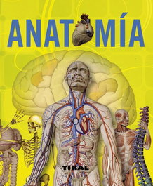 Anatomía (Enciclopedia universal), Adriana Rigutti - SUSAETA EDICIONES