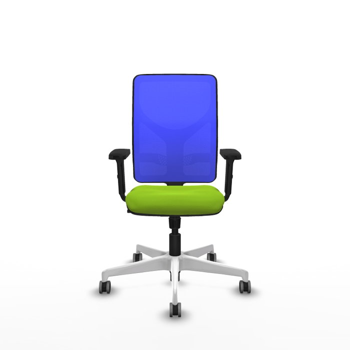 PIQUERAS Y CRESPO Silla de oficina Motilla con mecanismo Sincro, Pistacho y Azul