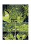 Astisendo Grupo Editorial, S.L. Saint-Elme Integral 02