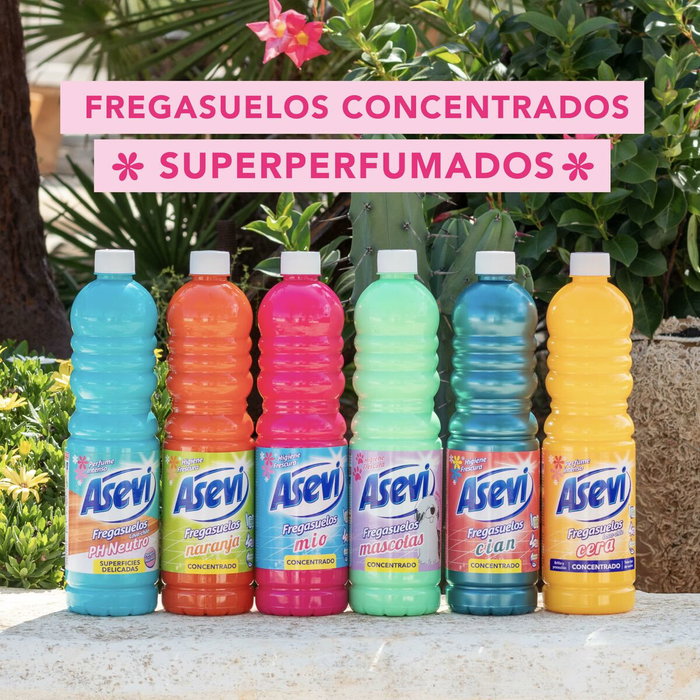 Asevi Fregasuelos Concentrado Naranja 1 l