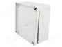 FIBOX MNX ABS125/60HG Gris