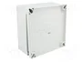 FIBOX MNX ABS125/60HG Gris