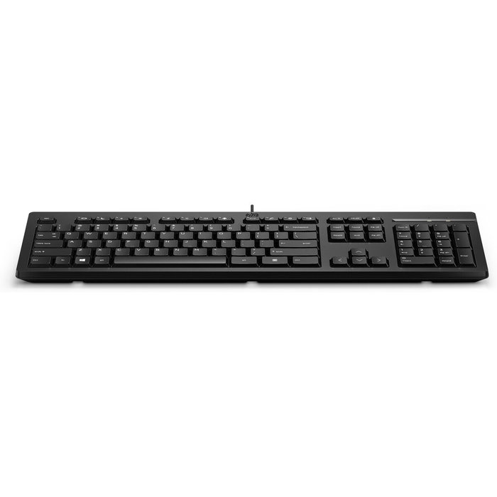 HP 125 Teclado con cable USB, Español, Negro HP 125 Teclado con cable USB, Español, Negro