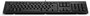 HP 125 Teclado con cable USB, Español, Negro