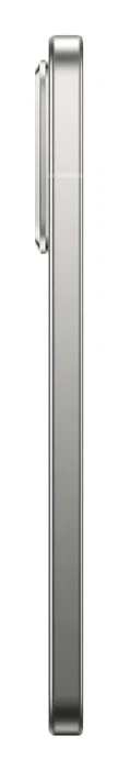 Xiaomi 15T Pro 12GB 512GB Gris