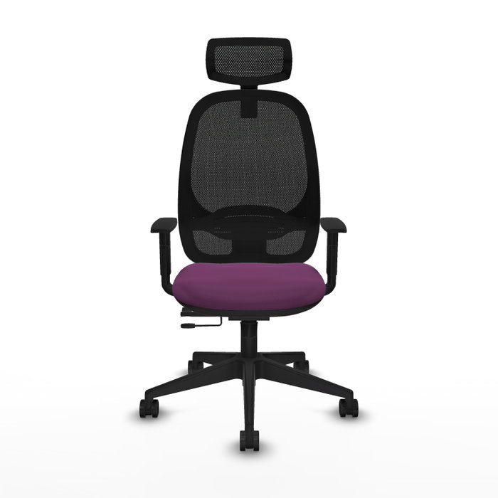 PIQUERAS Y CRESPO Silla de oficina Cilanco con mecanismo Sincro/Traslack, Morado y Negro PIQUERAS Y CRESPO Silla de oficina Cilanco con mecanismo Sincro/Traslack, Morado y Negro