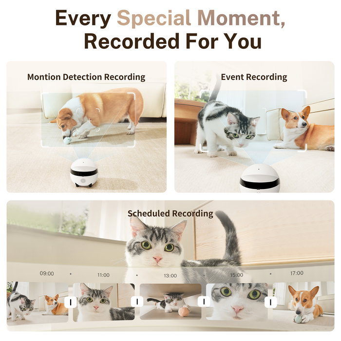 Enabot Rola Mini Robot Interactivo con Láser para Gatos, Monitor para Mascotas Wifi 5 GHz, Cámara 137°, Blanco/Negro