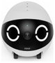 Enabot ROLA Mini Pet Companion