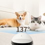 Enabot ROLA Mini Pet Companion Cámara y Robot Interactivo