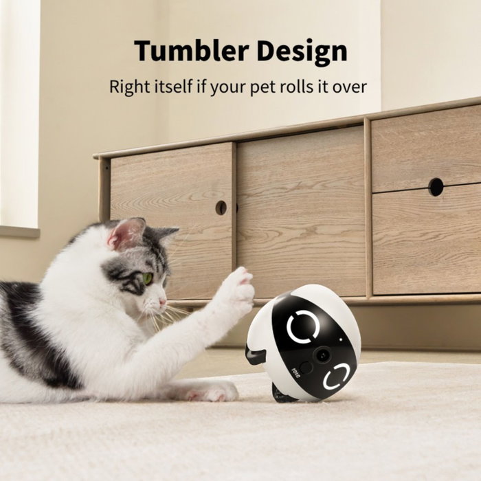 Enabot ROLA Mini Pet Companion Cámara y Robot Interactivo