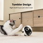 Enabot ROLA Mini Pet Companion Cámara y Robot Interactivo
