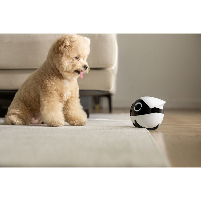 Enabot ROLA Mini Pet Companion Cámara y Robot Interactivo
