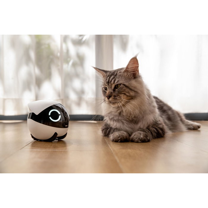 Enabot ROLA Mini Pet Companion Cámara y Robot Interactivo