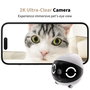 Enabot ROLA Mini Pet Companion Cámara y Robot Interactivo
