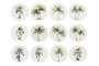 DKD Home Decor Posavasos de Dolomita Palmera Surtido de 12 Unidades